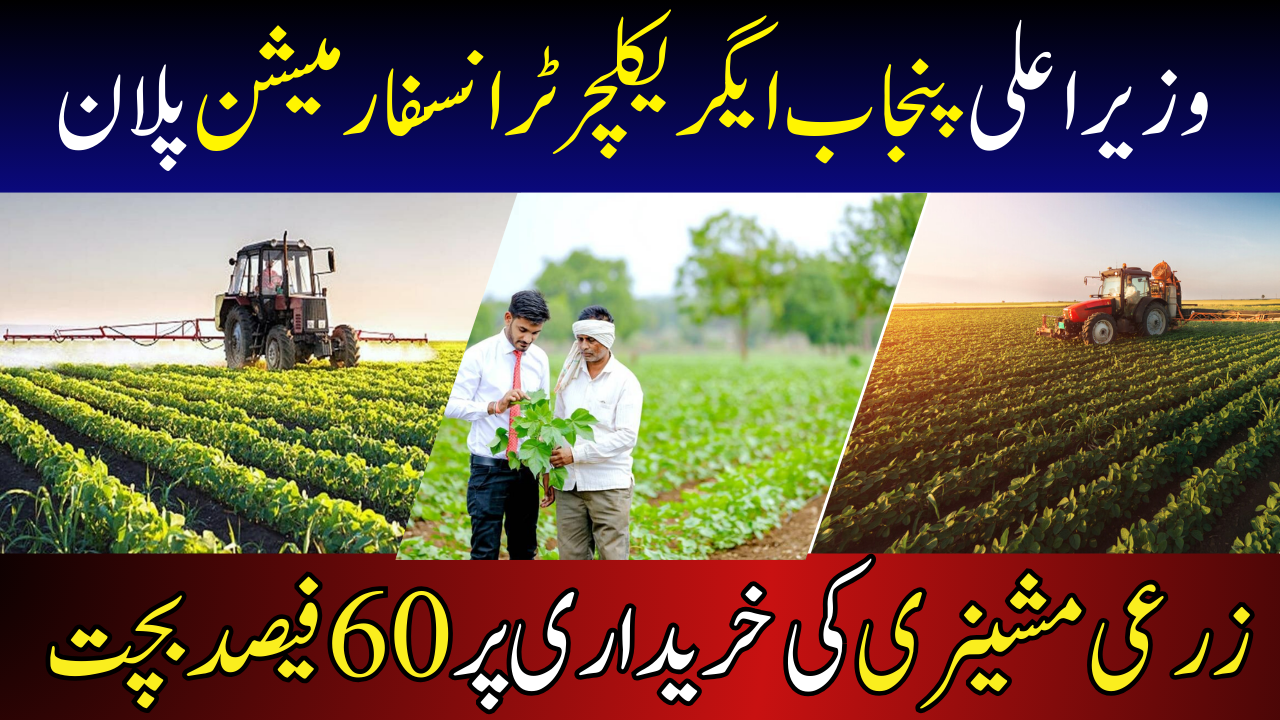 Punjab Agriculture Transformation Plan 