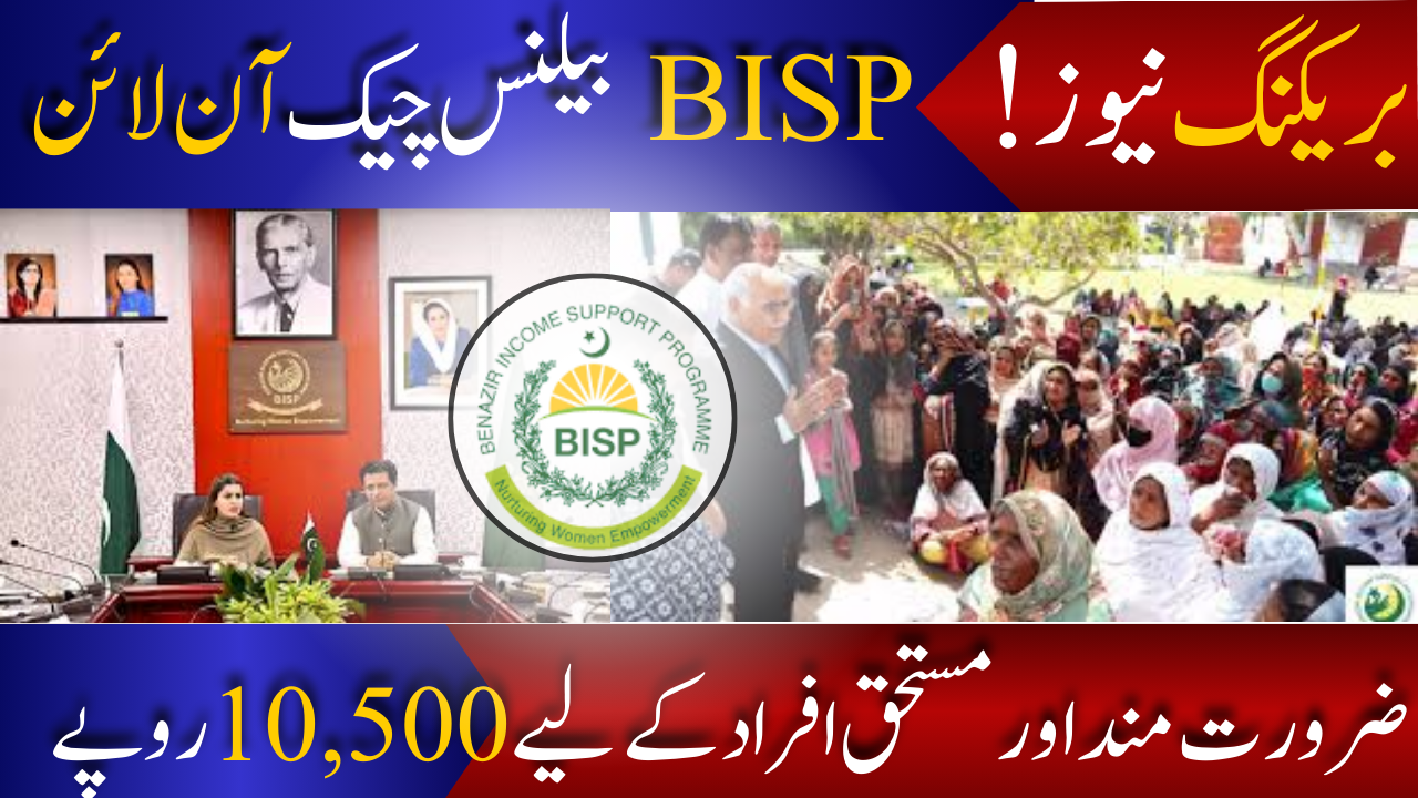 BISP Balance Check Online: